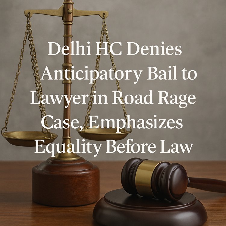Delhi HC Denies Anticipatory Bail to Lawyer in Road Rage Case, Emphasizes Equality Before Law